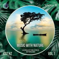 Music With Nature 1 muzyka relaksacyjna 432 Hz